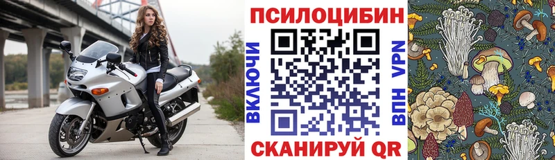 Псилоцибиновые грибы Psilocybine cubensis Купить Карачев